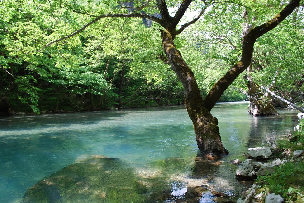 Hotel Faraggi Kleidonia Dış mekan fotoğraf