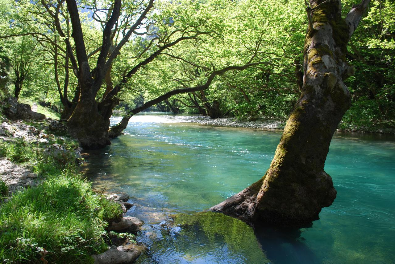 Hotel Faraggi Kleidonia Dış mekan fotoğraf